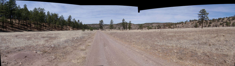 Diamond Creek Valley (GDMBR, Gila NF, NM).